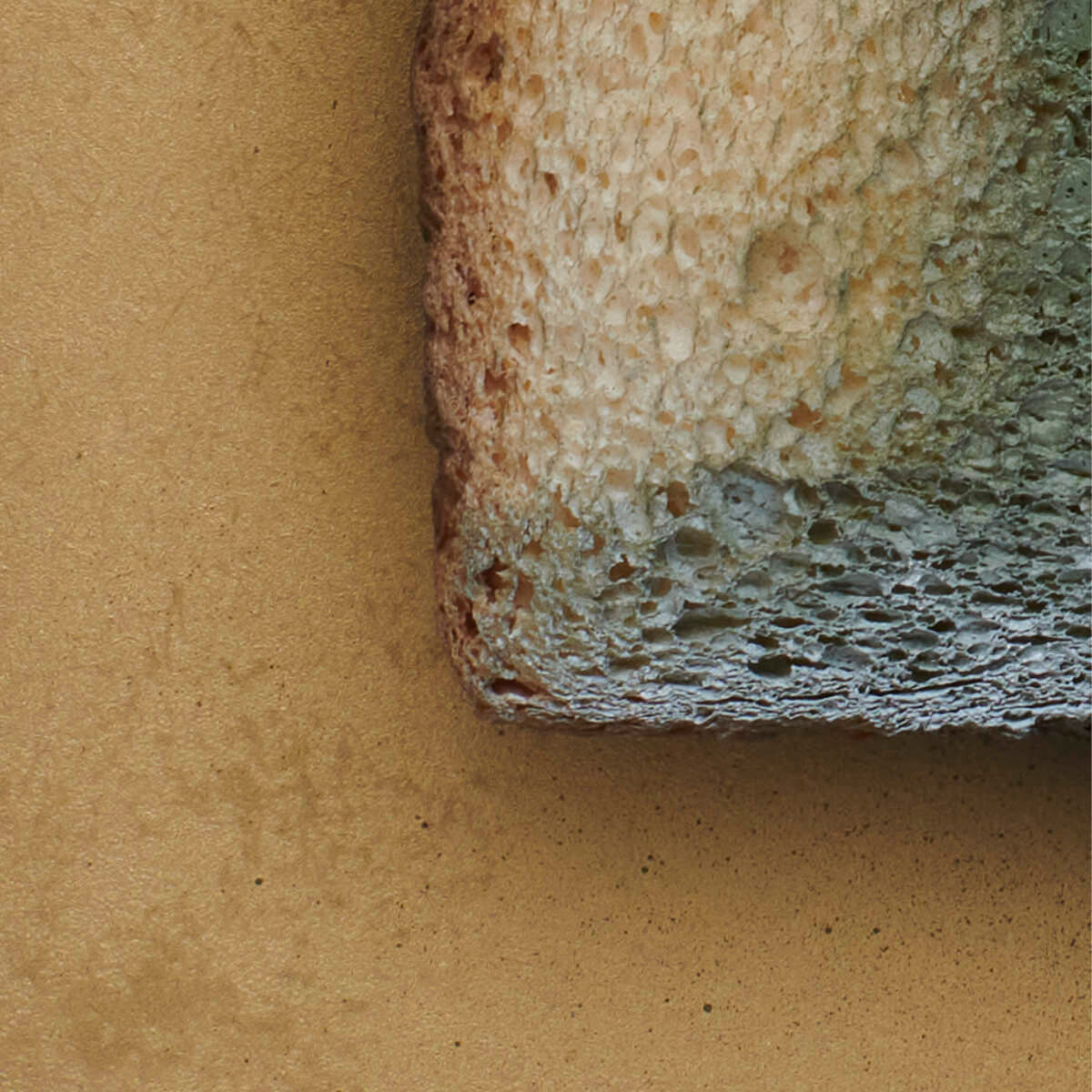 mindesthaltbarkeitsdatum_detail