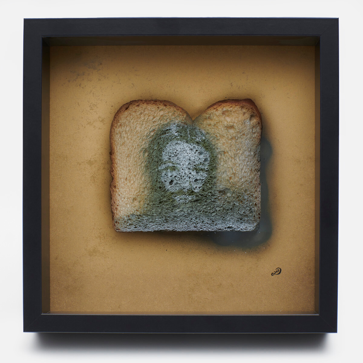 mindesthaltbarkeitsdatum