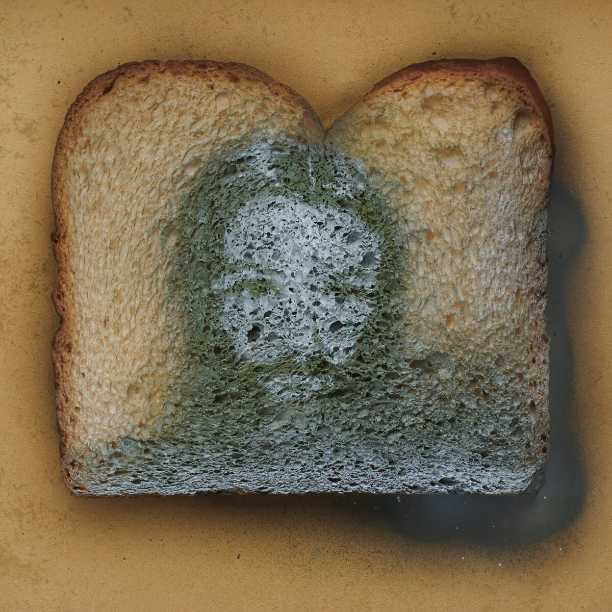 mindesthaltbarkeitsdatum_1